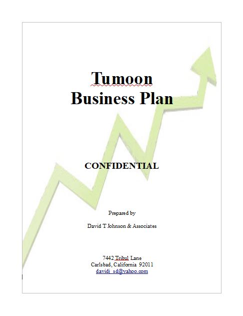 Tumoon Business Plan